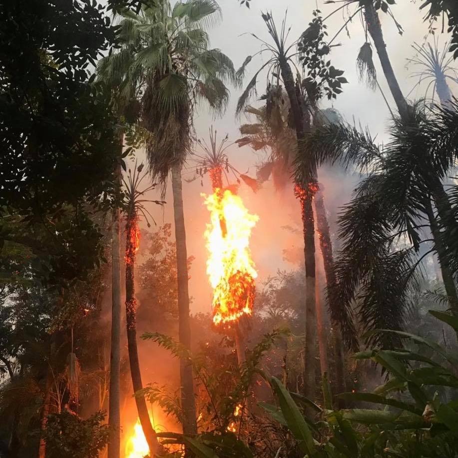 Foto: Jardín Botánico