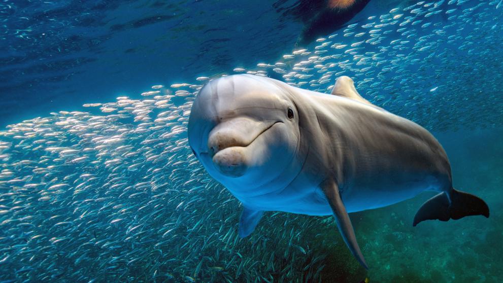 Foto: IStock.
