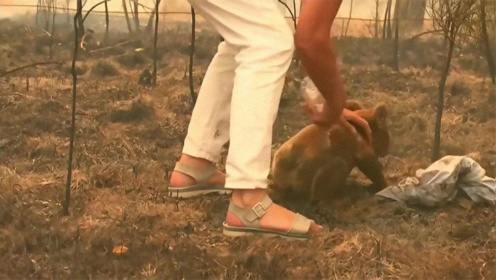 Foto: Captura de Pantalla.
