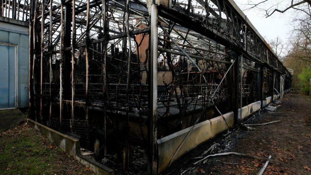 Foto: Reuters.