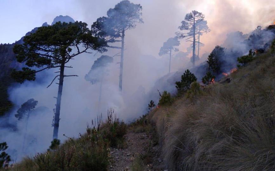Foto: Milenio.