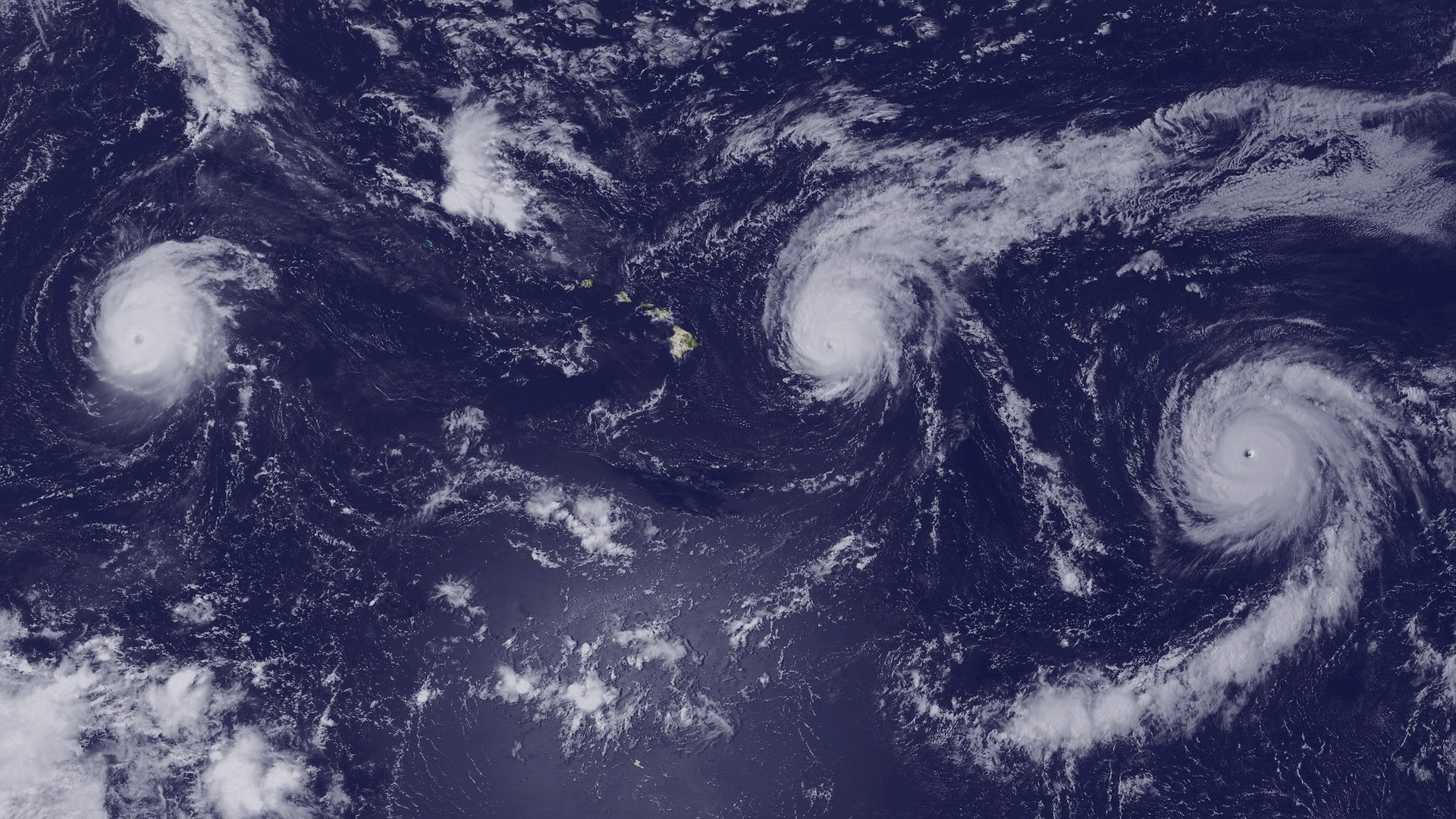 Entre 15 y 18 fenómenos meteorológicos tendrá esta temporada de huracanes en el océano Pacífico