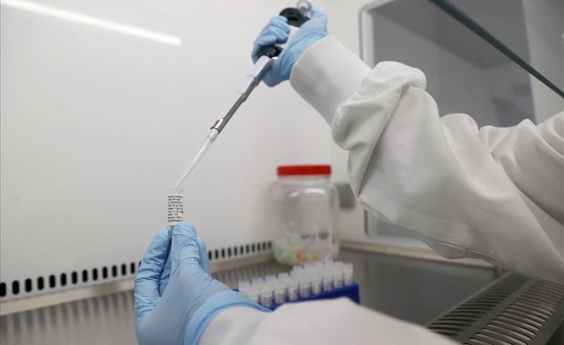 IMSS desarrolla vacuna contra coronavirus con anticuerpos de pacientes