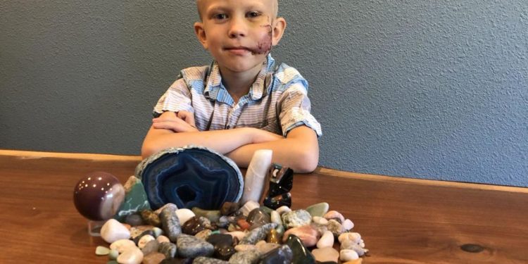 Niño salvó a su hermanita del ataque de un perro recibirá escudo del Capitán América Niño salvó a su hermanita del ataque de un perro recibirá escudo del Capitán América