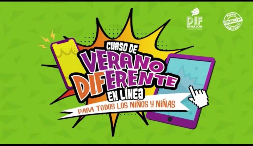 curso de verano