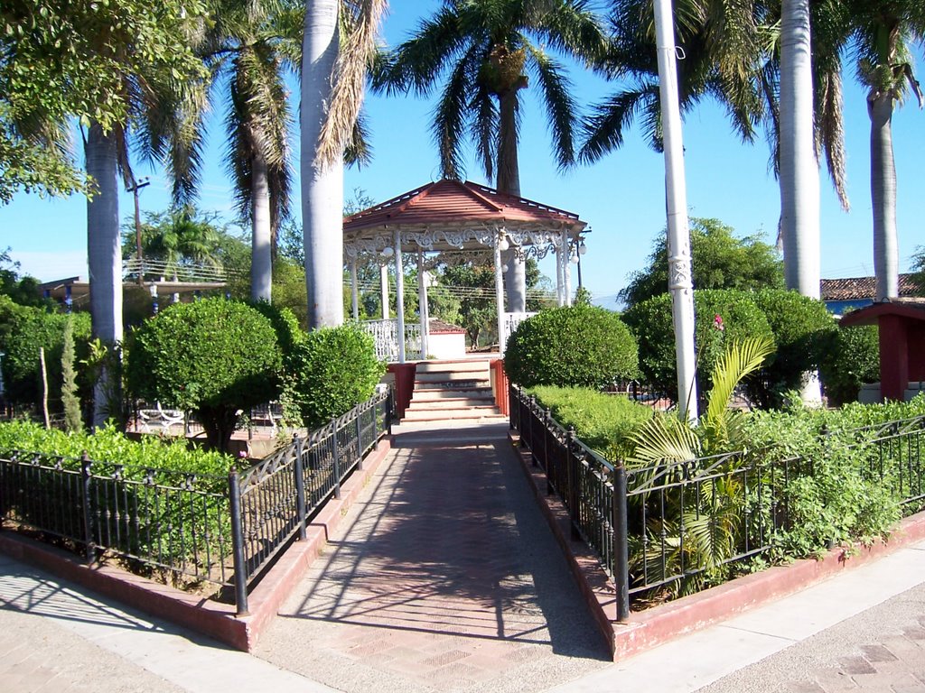 san ignacio covid
