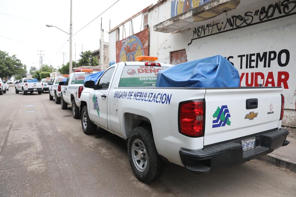 Fumigación dengue