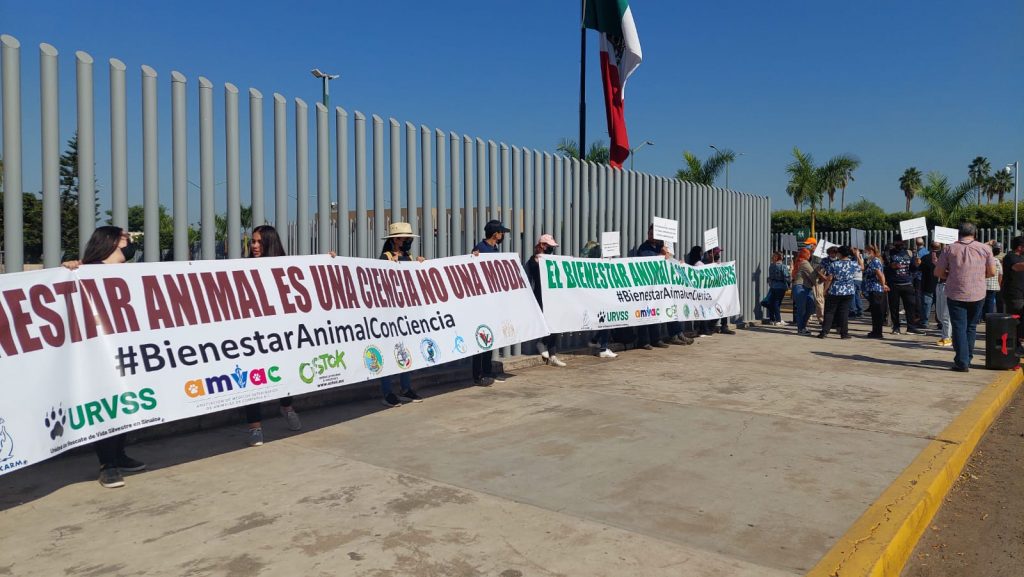 Se manifiestan animalistas en el Congreso; piden ser tomados en cuenta en ley de bienestar animal