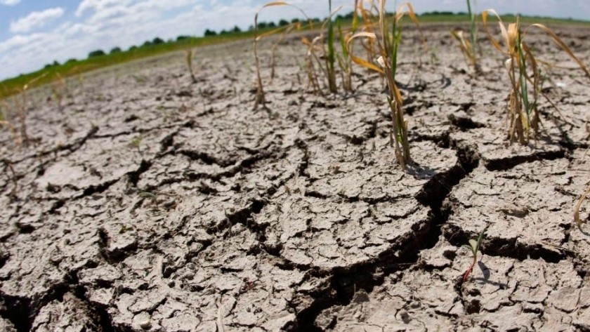Uso de agroquímicos y riego excesivo han degradado el suelo de Sinaloa
