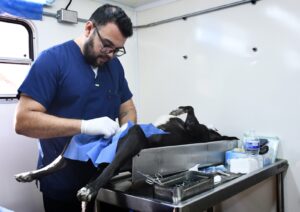 Campaña de Esterilización brinda 35 servicios en Infonavit Humaya