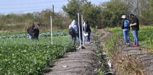 “Para nosotros va a ser muy importante aportar nuestro granito de arena”: Fundación Produce Sinaloa