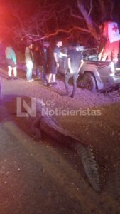 Choca camioneta contra cocodrilo en Eldorado provocando la muerte de tres personas