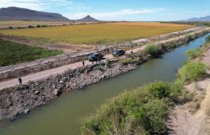 Reportan cocodrilos en el canal Humaya cerca de Las Tatemitas, en Angostura