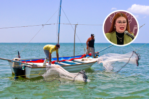 Ventas de camarón sinaloense podrían aumentar tras opinión de Claudia Sheinbaum: Secretaria de Pesca