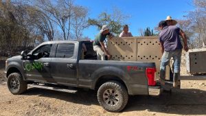 Roban vehículo de rescate del Santuario Ostok en medio de la violencia en Sinaloa