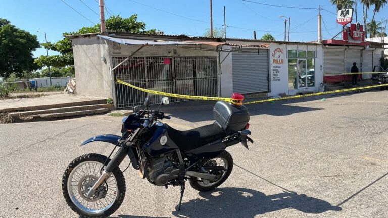 Balean fruteria en Navolato