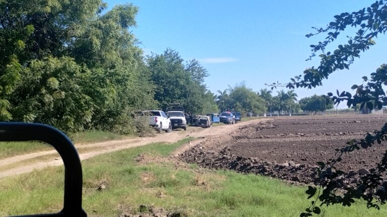 Vehículos encontrados en deshuesadero clandestino