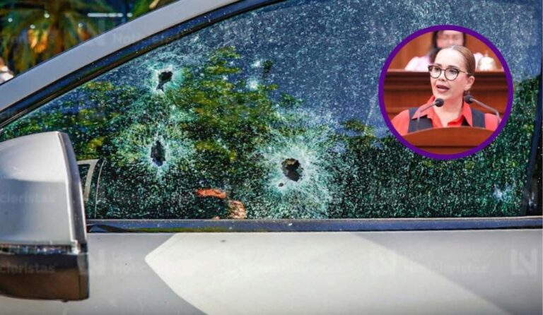 Diputada Ely Montoya