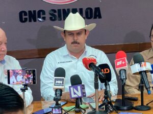 Productores reportan daños por condiciones climaticas en Sinaloa