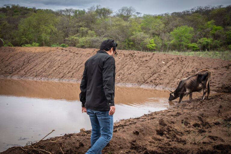 Abrevaderos para el ganado en Culiacán