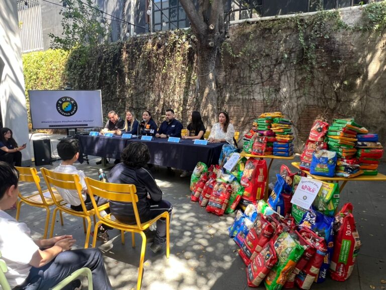 Niños apoyan con comida para perritos rescatados