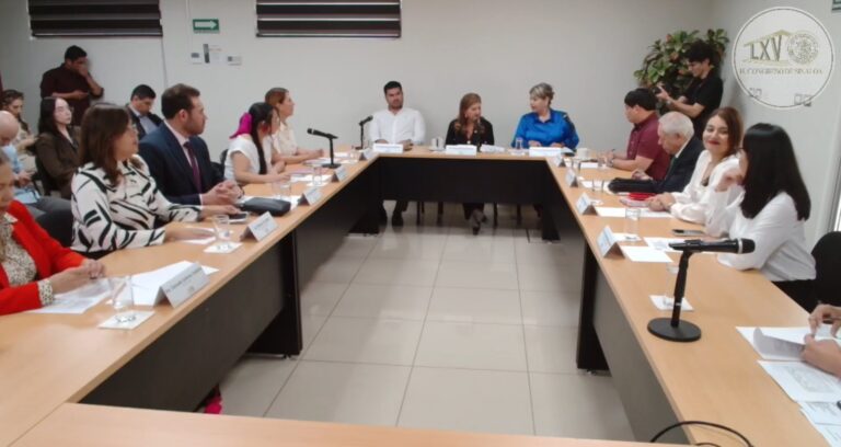 Yesenia Rojo Carrizoza ganadora de la Medalla de Honor “Dra. Norma Corona Sapién 2026” Reunión de comisiones Congreso