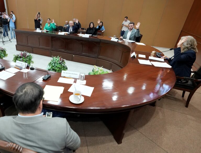 Sesión de la Comisión Permanente en el Congreso