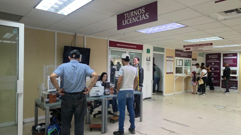 Solicitudes de licencias en la USE