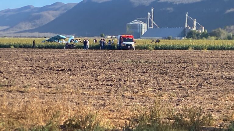 Cae avioneta fumigadora en Angostura, Sinaloa