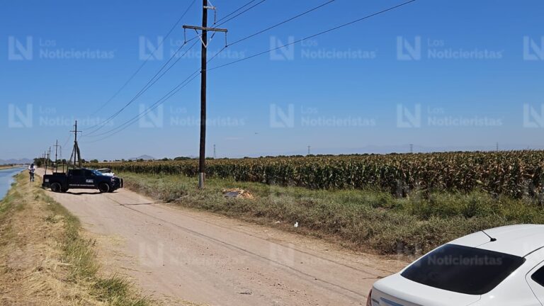 Estaba cubierto con plantas de maíz, encuentran ejecutado un hombre en Bachigualatito de Culiacán Estaba cubierto con plantas de maíz, encuentran ejecutado un hombre en Bachigualatito de Culiacán
