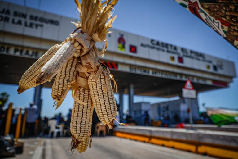 Productores en caseta El Pisal
