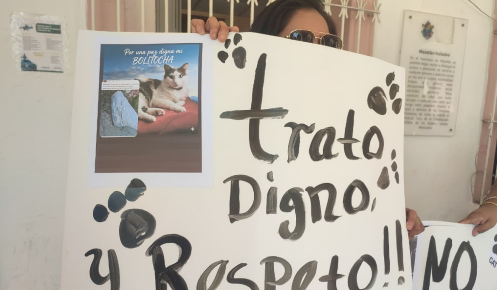 Gatita sería cremada y encontraron su cuerpo abandonado en Mazatlán, Sinaloa; exigen justicia y atención del gobierno