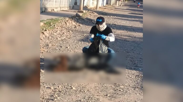 Fundación Laika denuncia presunto caso de crueldad animal