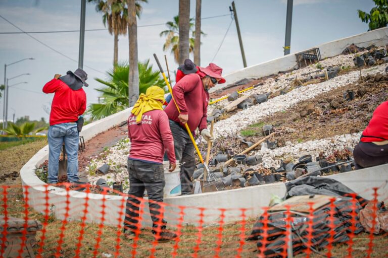 Obra de retiro del reloj floral en Culiacán