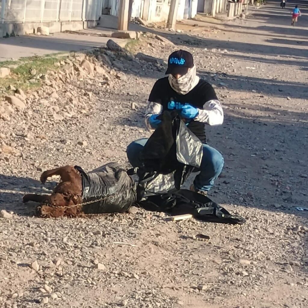 Fundación Laika denuncia presunto caso de crueldad animal