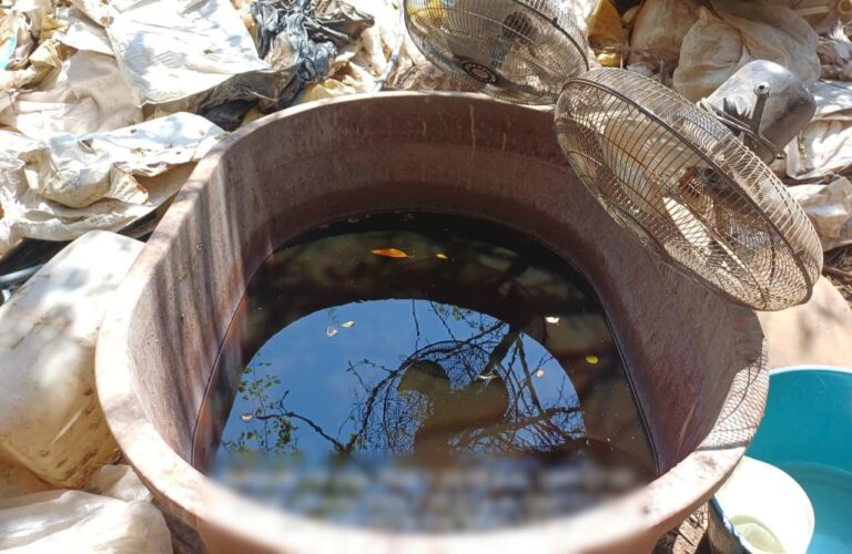 Asestan golpe de más de 923 mdp al crimen organizado; inhabilitan tres laboratorios clandestinos en Sinaloa