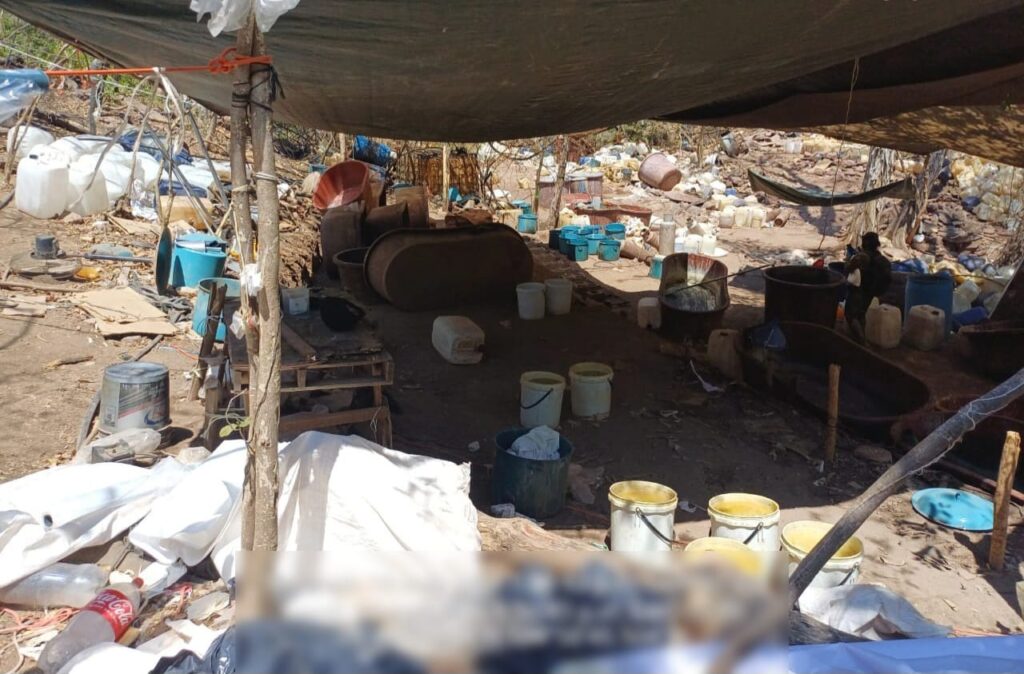Asestan golpe de más de 923 mdp al crimen organizado; inhabilitan tres laboratorios clandestinos en Sinaloa