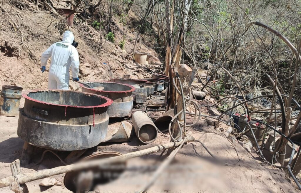 Asestan golpe de más de 923 mdp al crimen organizado; inhabilitan tres laboratorios clandestinos en Sinaloa