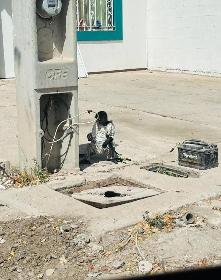 Abandonan a mono en Los Virreyes de Los Mochis, Sinaloa