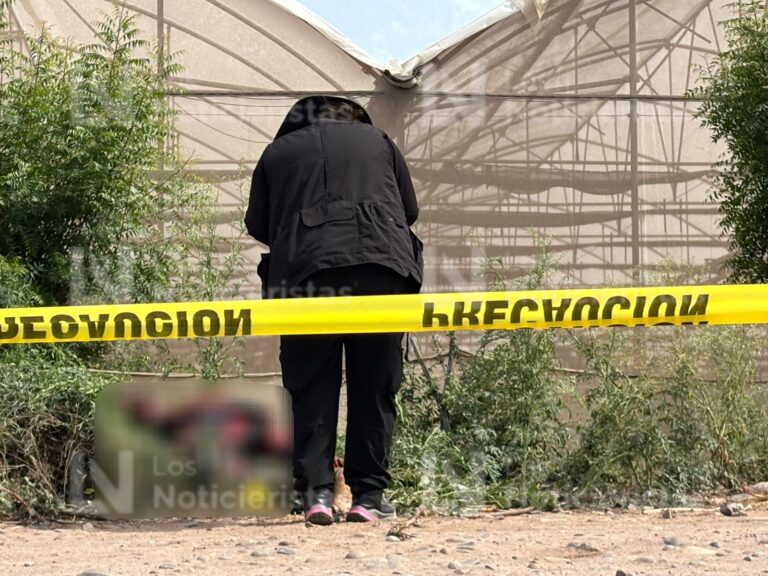 Localizan cadáver encobijado y en estado de descomposición en el Campo Moroleón en Aguaruto, Culiacán Localizan cadáver encobijado y en estado de descomposición en el Campo Moroleón en Aguaruto, Culiacán