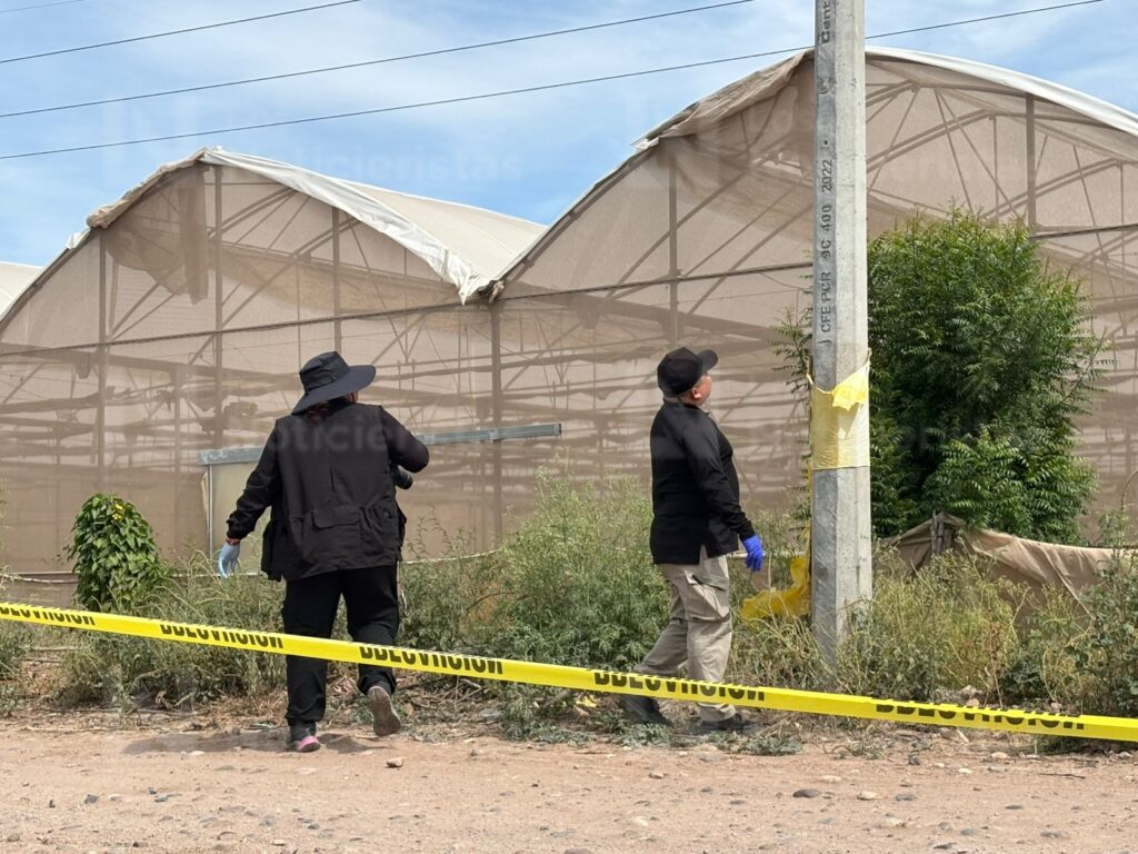 Localizan cadáver encobijado y en estado de descomposición en el Campo Moroleón en Aguaruto, Culiacán