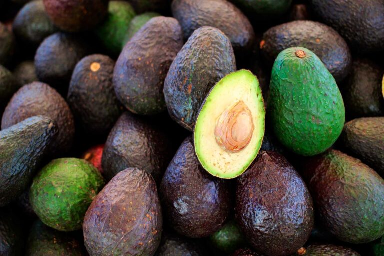 Meten gol a consumidores con el precio del aguacate; se vende hasta en 100 pesos el kilo Meten gol a consumidores con el precio del aguacate; se vende hasta en 100 pesos el kilo
