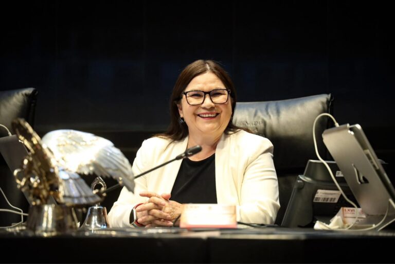 Imelda Castro solicita licencia al Senado para registrarse como coordinadora territorial Estatal de Morena