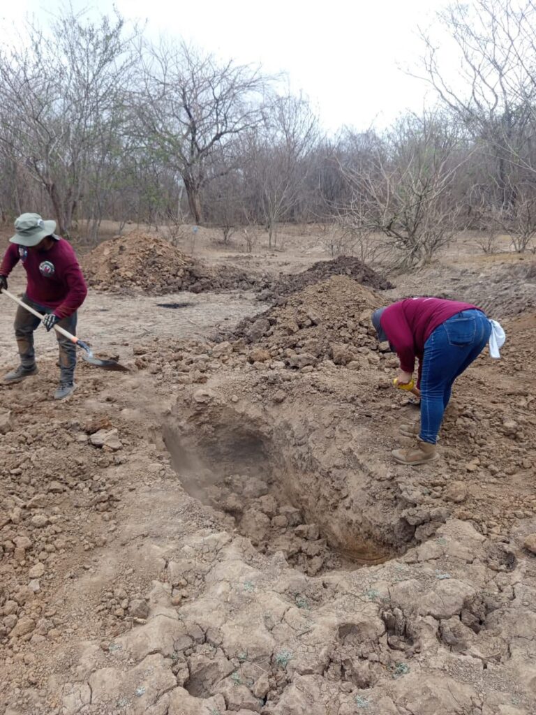 Localizan dos fosas clandestinas con restos humanos en la zona rural de Concordia, Sinaloa Localizan dos fosas clandestinas con restos humanos en la zona rural de Concordia, Sinaloa