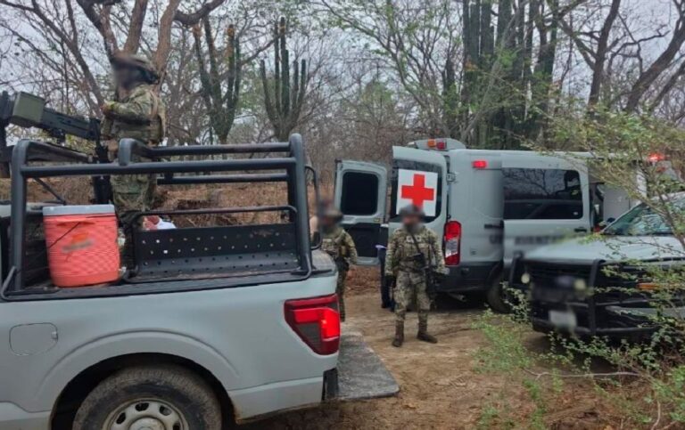 Hallan campamento con arsenal en la sierra de Mazatlán, Sinaloa; Marina asegura cargadores y más de 750 cartuchos Hallan campamento con arsenal en la sierra de Mazatlán, Sinaloa; Marina asegura cargadores y más de 750 cartuchos