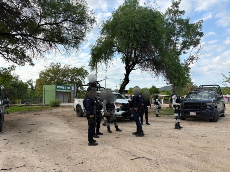 Privan de la libertad a ganadero en Choix, Sinaloa