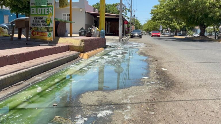 “La peste ya no se aguanta”: en Los Mochis vecinos y comerciantes de Praderas de Villa amenazan con bloquear el Pedro Anaya por derrames de aguas negras “La peste ya no se aguanta”: en Los Mochis vecinos y comerciantes de Praderas de Villa amenazan con bloquear el Pedro Anaya por derrames de aguas negras