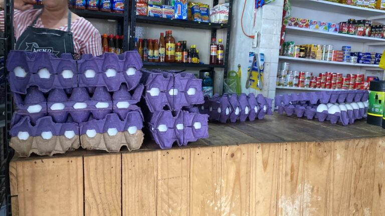 Cae el precio del huevo en Los Mochis; se vende hasta en 60 pesos la cartera de 30 piezas