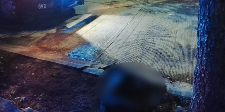 Muere perro tras ser lesionado con arma blanca en Alturas del Sur; Fundación Balto y Togo denunciará el caso