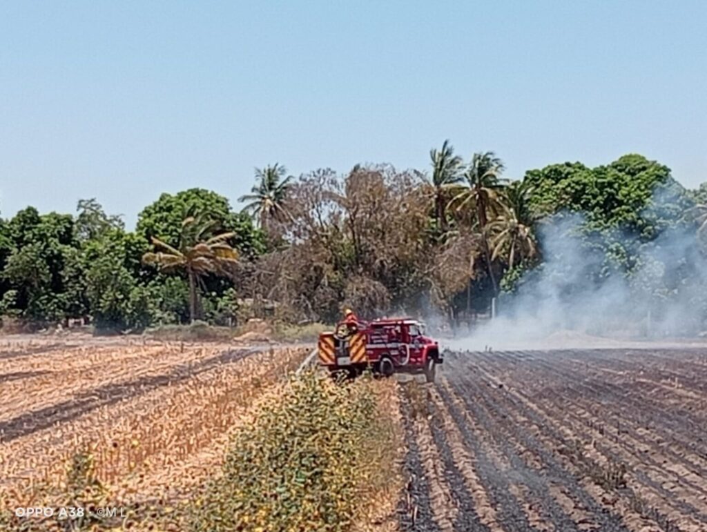 Primera multa por quema de soca en Guasave fue de 3 mil 500 pesos; pudo alcanzar hasta 100 mil
